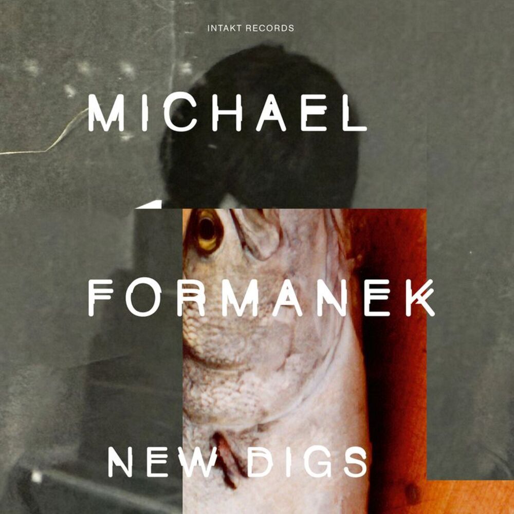 Michael Formanek - New Digs  CD